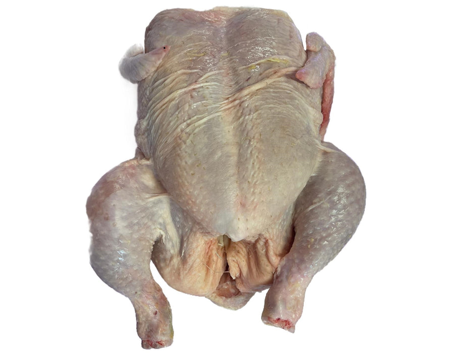 Braadkip / Tavuk tüm - 1 kg