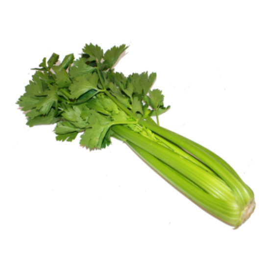 Groene Selder Bussel - 1 stuk